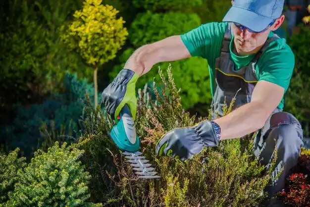 landscaping services Whitesburg